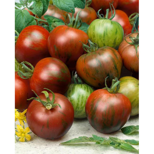 Black Zebra Tomato Seeds