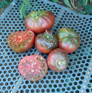 Brandywine Black Tomato Seeds