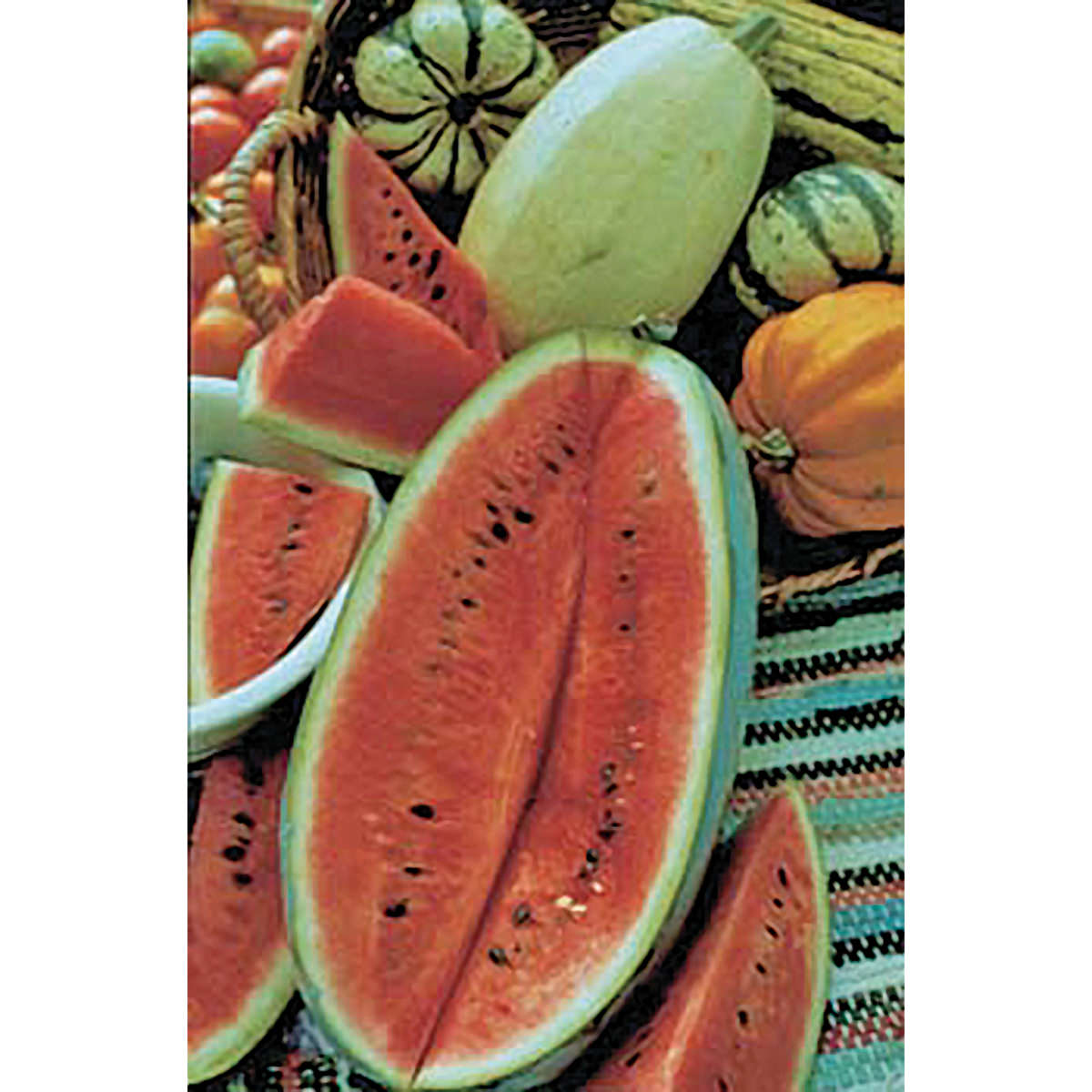 Charleston Grey Watermelon Seeds NE SEED   33830 Charleston Grey Watermelon 