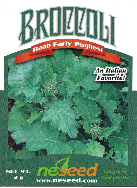 Early Pugliesi Broccoli Raab Seeds