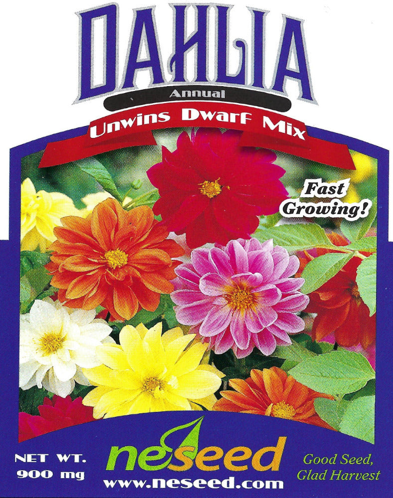 Unwins Dwarf Mix Dahlia Seeds