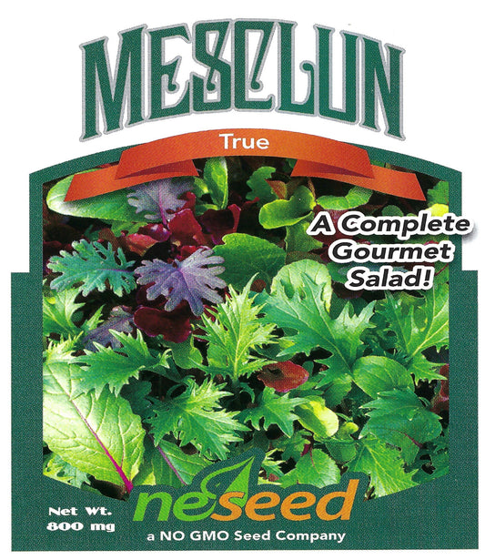 True Mesclun Lettuce Seeds