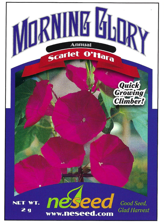 Scarlet O’Hara Morning Glory Seeds